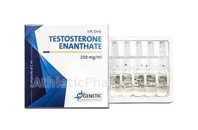 Testosterone Enanthate (Genetic) 1ml